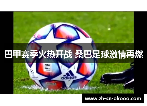 巴甲赛季火热开战 桑巴足球激情再燃