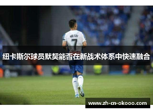 纽卡斯尔球员默契能否在新战术体系中快速融合